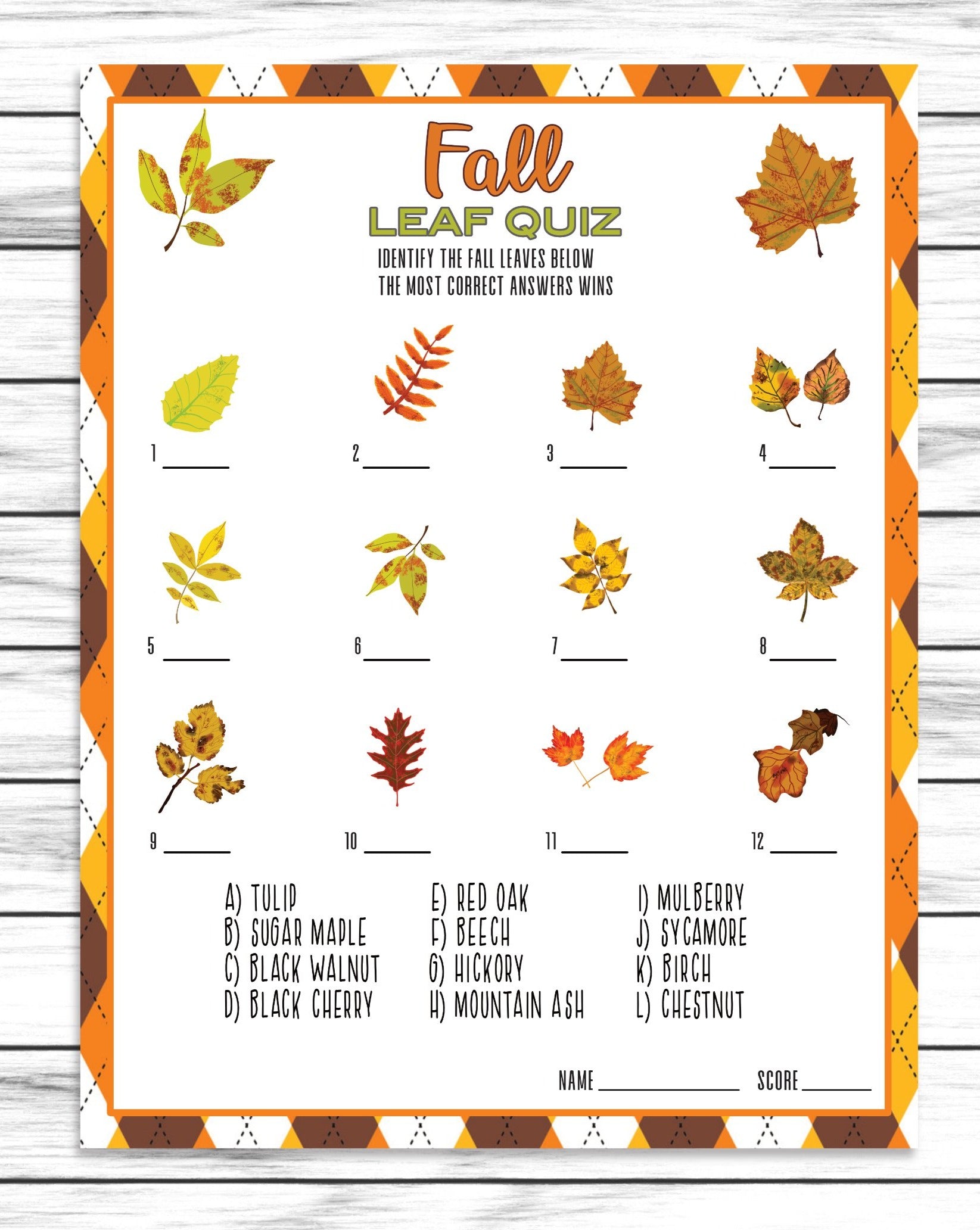 Fall Autumn Party Family Reunion Leaf Trivia Game, Printable Or Virtual Kids Quiz Classroom Activity Sheet, Instant Download