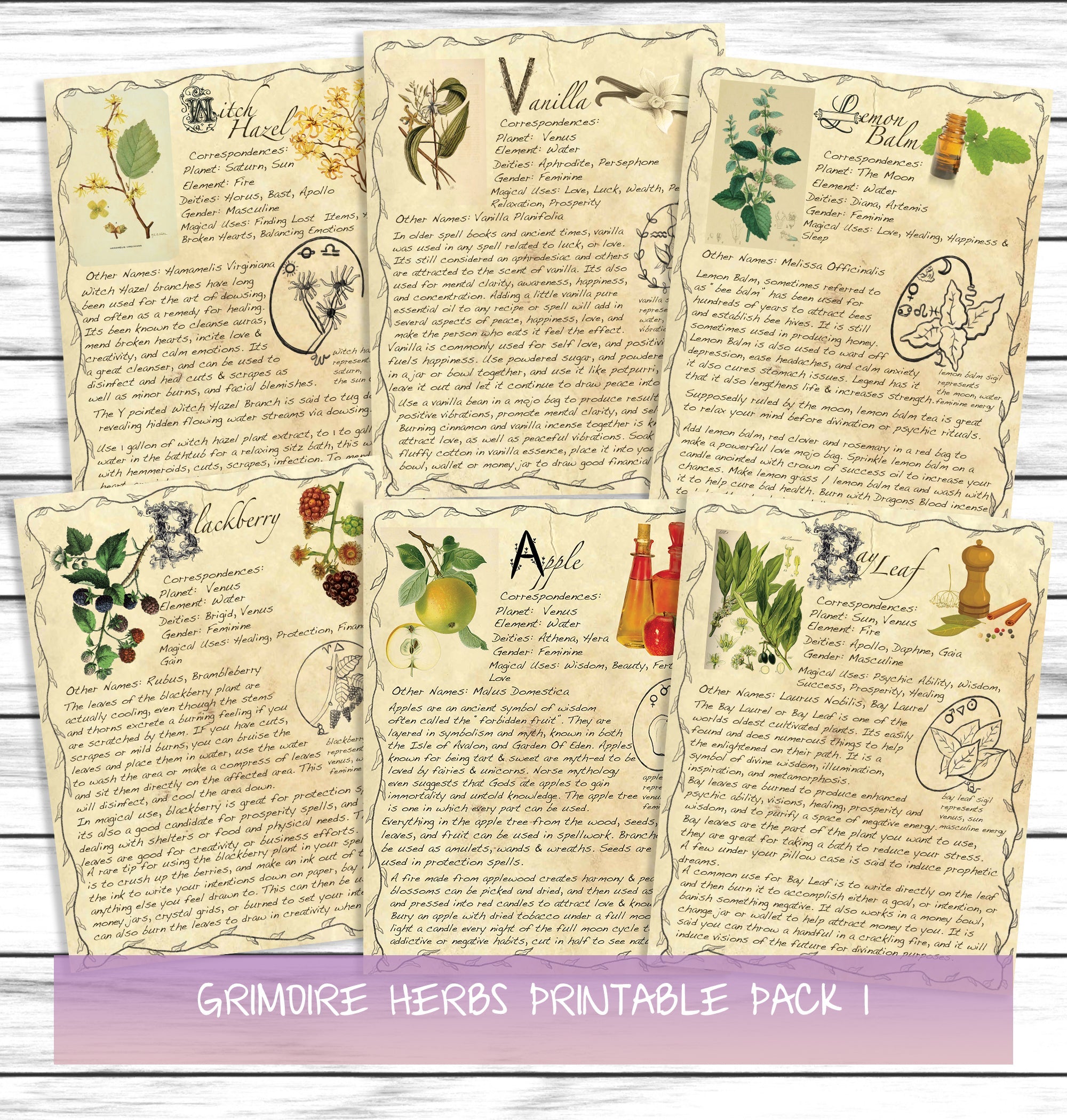 Witchy Aesthetic Herbs Book Of Shadows Witchcraft Grimoire Printable Set