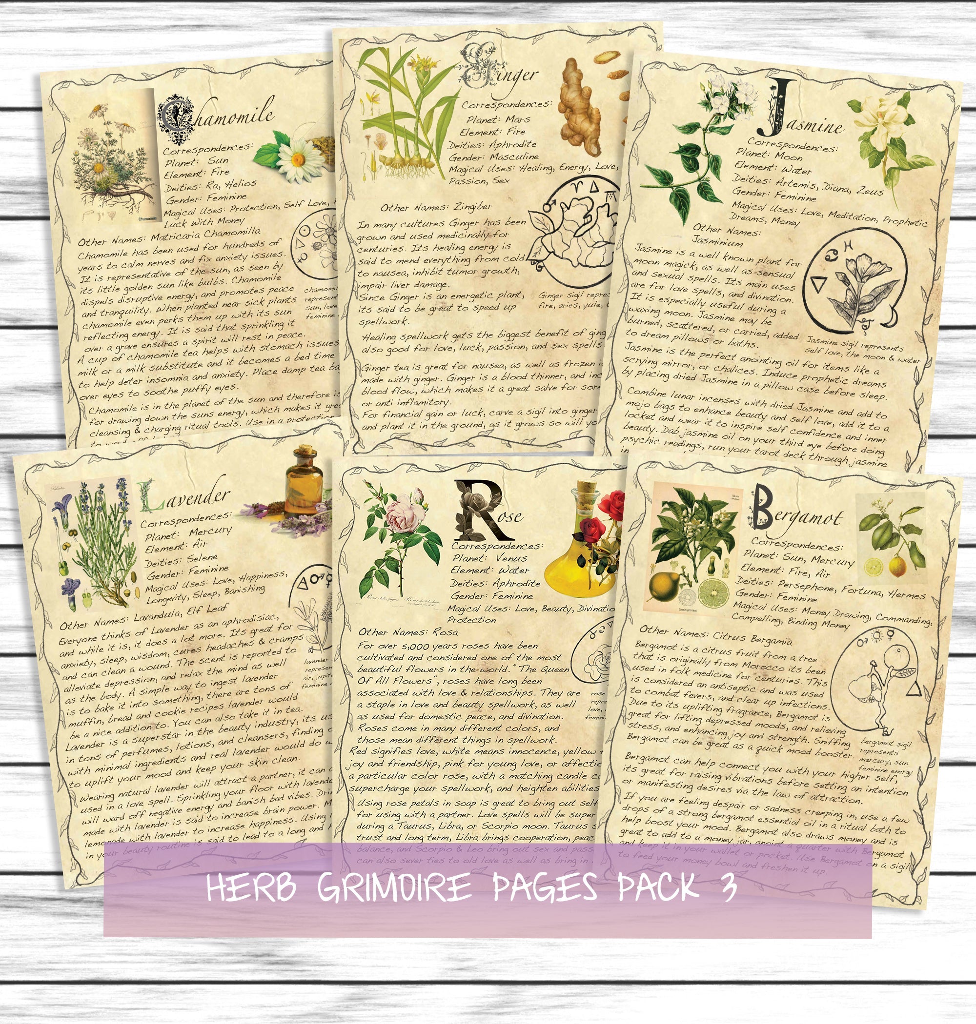 Witchy Aesthetic Herbs Book Of Shadows Witchcraft Grimoire Printable Set 3